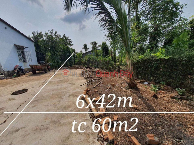 Y Wang land lot for sale extending Cao Thang - Ea Kao commune Sales Listings