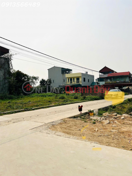 Property Search Vietnam | OneDay | Nhà ở, Niêm yết bán, Đất thổ cư tổ 9 thị trấn Quang Minh Mê Linh HN, mặt tiền 16m nở hậu sâu 18m đường ôtô 4m