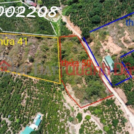 Owner quickly sells 5518m2 of land in Xuan Truong, Da Lat, price 4.5 billion _0