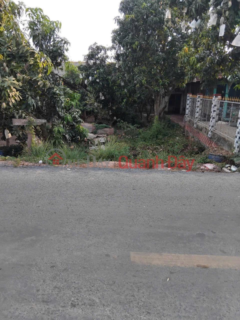 OWNER Urgently Needs to Sell Street Front Land in My Hiep Commune, Cho Moi District, An Giang _0