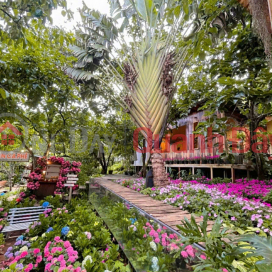 Villa with garden for rent, 700m2, located on Prenn Pass, Da Lat. Rental price: 26 million VND. _0