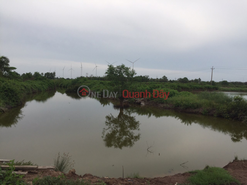 Property Search Vietnam | OneDay | , Sales Listings | Shrimp pond land for sale includes: 35 workers. Price: 85 million/person.
