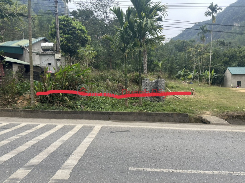 Property Search Vietnam | OneDay | Residential Sales Listings | FOR SALE 2 CHEAP LAND Lots with super profit potential X2,X3 At Highway 217, Trung Ha, Quan Son, Thanh Hoa