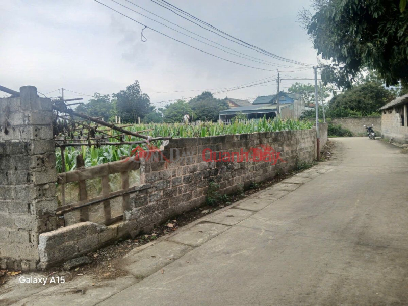 Property Search Vietnam | OneDay | Residential Sales Listings OWNER SELLS LOT OF LAND 294M2 IN NAM PHUONG TIEN-CHUONG MY-HANOI