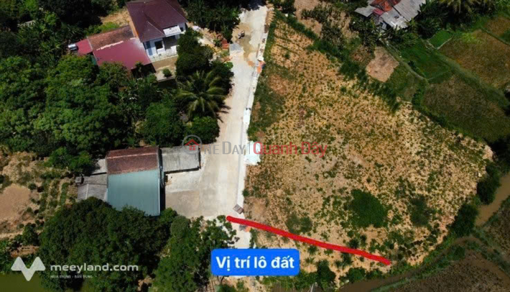 Property Search Vietnam | OneDay | Residential Sales Listings, PRIME LOCATION - INVESTMENT OPPORTUNITY - OWNER SELLING LAND PLOT IN THO CUONG, TRIEU SON, THANH HOA
