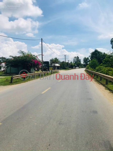 Property Search Vietnam | OneDay | Sales Listings | Offering for sale a 10m wide villa plot of land priced at 4xx