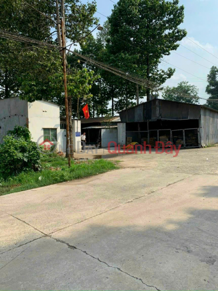 Property Search Vietnam | OneDay | Residential, Sales Listings | SKC planned factory for sale near Vo Nguyen Giap frontage. Ward. Phuoc Tan. Bien Hoa City - Dong