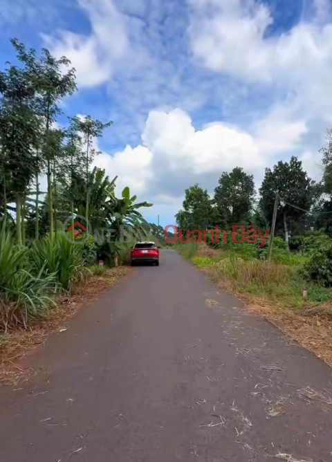 ĐẤT ĐẸP - GIÁ TỐT - Cần Bán Nhanh Lô Đất Vị Trí Đắc Địa Tại Quảng Thành, Châu Đức, Bà Rịa- Vũng Tàu _0