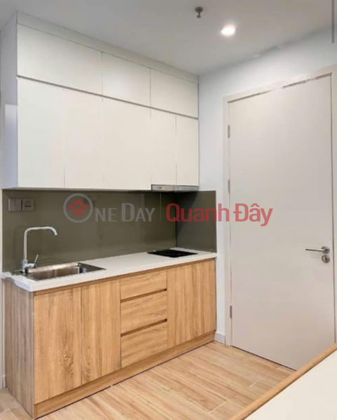 Property Search Vietnam | OneDay | Residential | Sales Listings | HOUSE FOR SALE IN VONG THI CORNER LOT, 41M, 7 ELEVATORS, 6M FRONTAGE, CAR PARKING AT DOOR, PRICE 17.5 BILLION