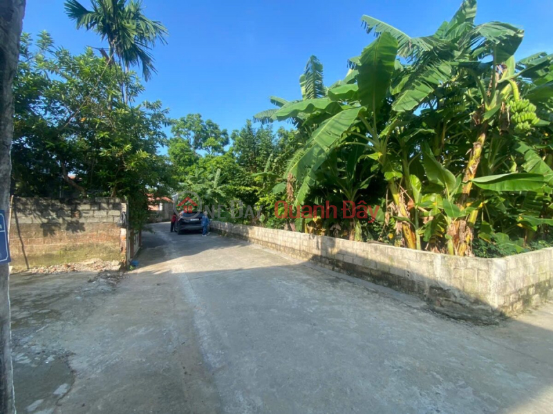 Property Search Vietnam | OneDay | Residential | Sales Listings, FO GOODS FOR INVESTORS IN LOT 486M AT THUY XUAN TIEN-CHUONG MY-HANOI