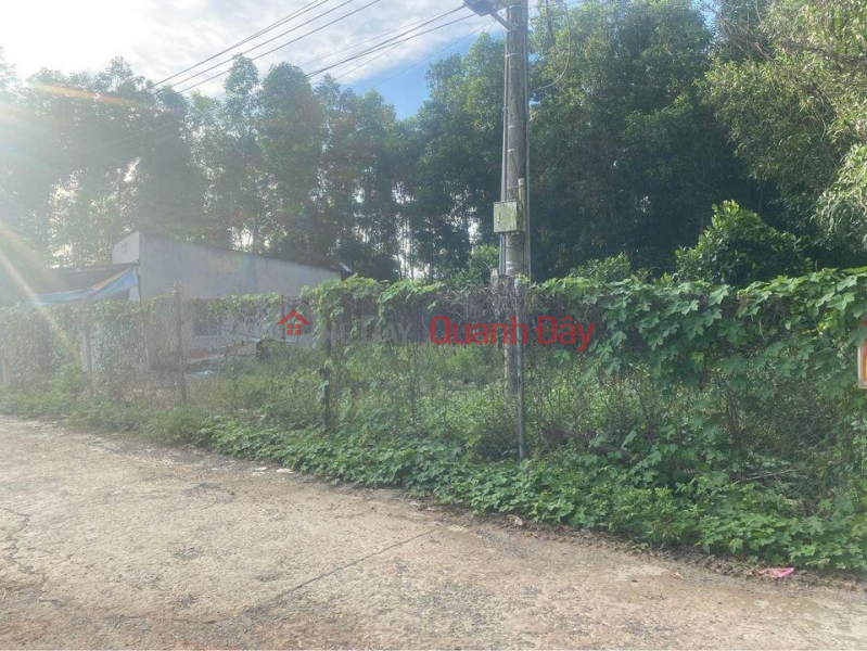 HOT HOT TO OWN A BEAUTIFUL LOT OF LAND - GOOD PRICE IN Vinh Cuu Dong Nai | Vietnam Sales | ₫ 3.1 Billion