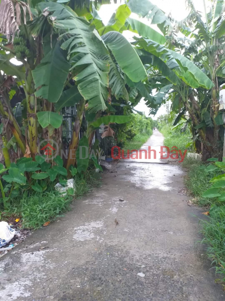 OWNER NEEDS TO SELL LAND LOT QUICKLY IN Tan Xuyen Ward - CA MAU City - CA MAU, Vietnam Sales, ₫ 350 Million