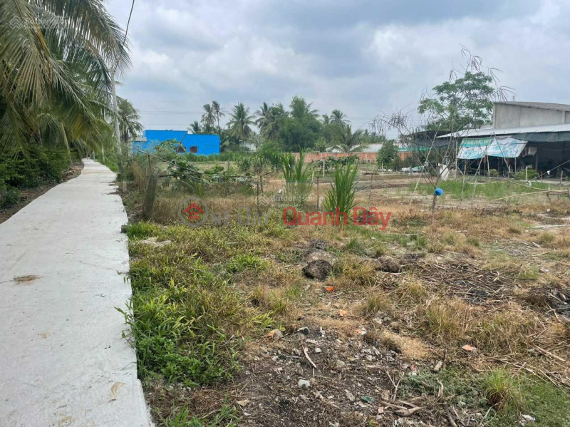 BEAUTIFUL LAND - GOOD PRICE - Own Land Lot Right Now Location In Go Cong Tay district - Tien Giang | Vietnam Sales ₫ 395 Million