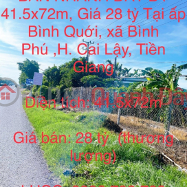 QUICK SALE OF LAND 41.5x72m, Price 28 billion In Binh Phu commune, Cai Lay district, Tien Giang _0