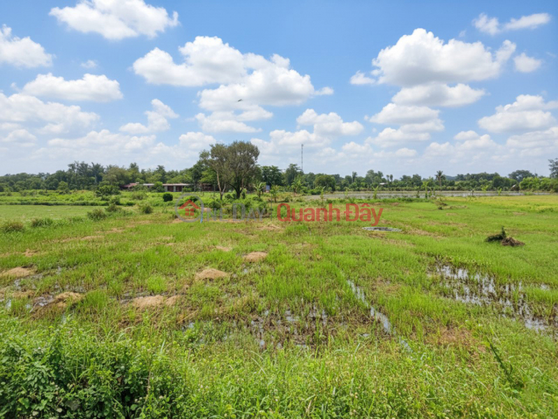 Property Search Vietnam | OneDay | Nhà ở Niêm yết bán | Giảm 100tr! Đất SHR HXH 246m2, Nở hậu – Trần Thị Năm Q12 SS