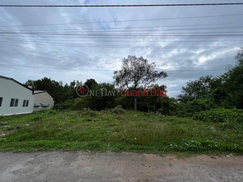 OWNERS QUICK SALE OF LAND LOT, Nice Location, Investment Price At CU DUONG - PHU QUOC - KIEN GIANG Vietnam Sales đ 2.4 Billion