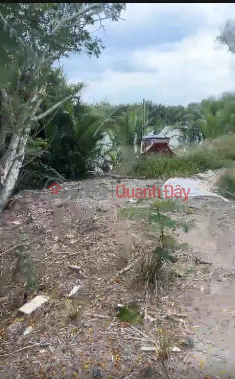 BÁN ĐẤT BỜ SÔNG – CẦN GIỜ - AN THỚI ĐÔNG -HỒ CHÍ MINH. _0
