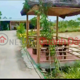 Selling a garden farm of more than 7000m2 right in Hanoi, a few kilometers from Tay Nam Linh Dam urban area. _0