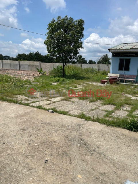 Đất Vuông SHR HXH 2283m2 – Phạm Thị Giây Hóc Môn _0