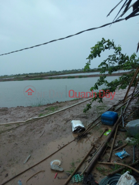 Property Search Vietnam | OneDay | | Sales Listings, Selling shrimp pond with 2 fronts : Land adjacent to 55m frontage