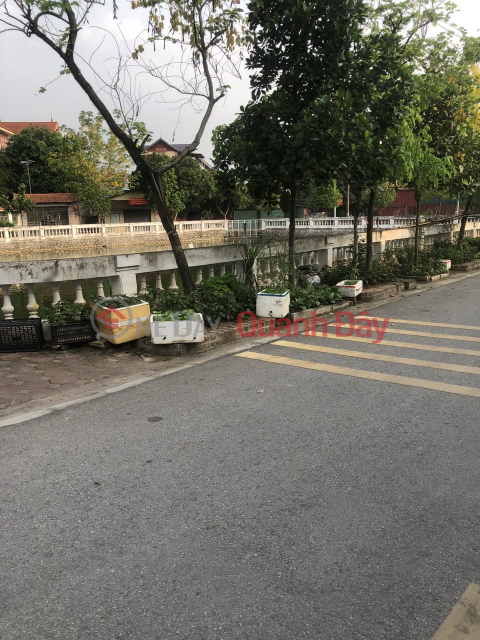 ĐẦU TƯ ĐINH ( ĐẤT ĐA TỐN ). ĐƯỜNG TRỤC CHÍNH-Ô TÔ NGỦ TRONG NHÀ- HÀNG XÓM VIN & ECO. 52M2 GIÁ 2,8 TỶ _0