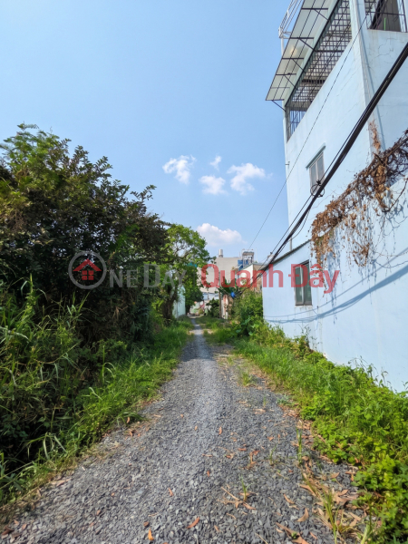 [D2284] ĐẤT SỔ HỒNG RIÊNG VƯỜN CAU ĐỎ - NỞ HẬU ĐẮC LỘC GIÁ LỘC PHÁT 9.X TỶ!, Việt Nam | Bán | đ 9,7 tỷ