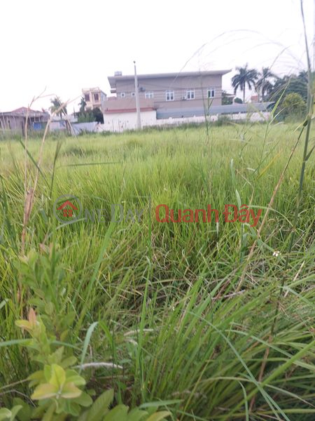 Land for sale in Dong Hung district, area 210m2, price only Sales Listings