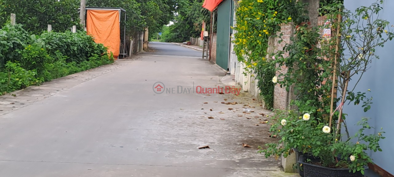 Property Search Vietnam | OneDay | Nhà ở | Niêm yết bán | Bán 64m2 đất Lâm Tiên Nguyên Khê - Ô tô vào đất - 2 tỷ