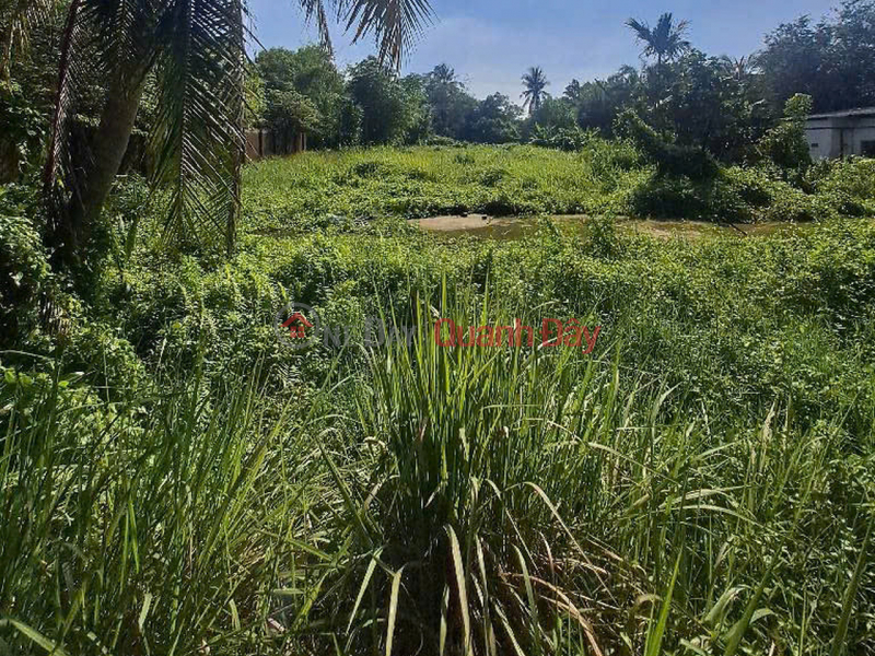 Đất Mặt tiền SHR Đ.14m 3360m2, Nở hậu – Thạnh Xuân 52 Quận 12, Việt Nam | Bán đ 40 tỷ