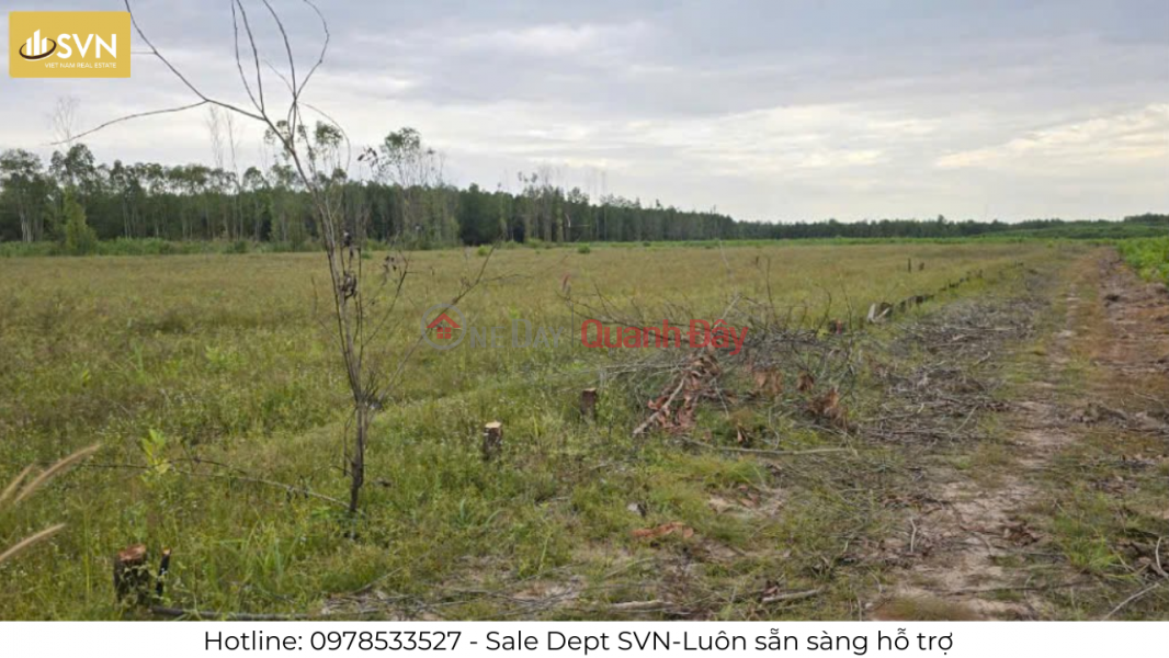 SUPER BEAUTIFUL 2-FRONT LAND LOT IN VINH THANH – NHON TRACH Sales Listings