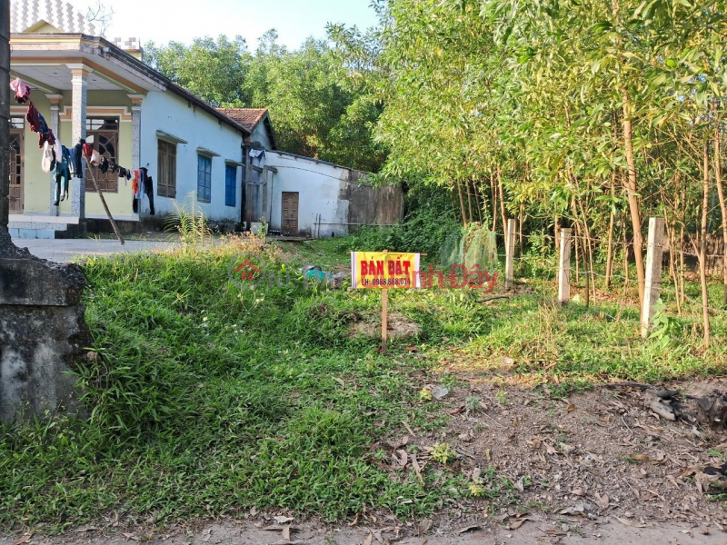 Property Search Vietnam | OneDay | Nhà ở Niêm yết bán | CHÍNH CHỦ CẦN BÁN lô Đất tại Vinh Sơn, Xã Lộc Sơn, Huyện Phú Lộc, Thừa Thiên Huế
