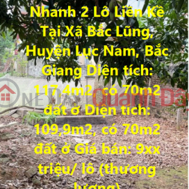 PRIMARY LAND - GOOD PRICE - For Quick Sale 2 Adjacent Lots In Bac Lung Commune, Luc Nam District, Bac Giang _0