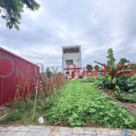 OWNER SELLING RESIDENTIAL LAND IN X7 AUCTION AREA, LO KHE, AT THE LOWEST PRICE IN THE AREA. _0