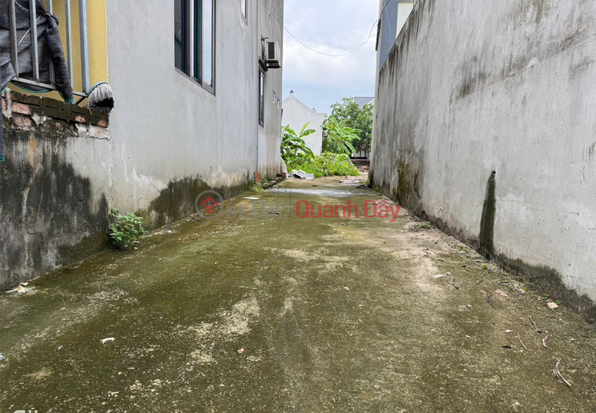 Bán 52,5m đất Bạch Đa, Kim Hoa, ML. Gần đường vành đai 4 và CTy HonDa Niêm yết bán
