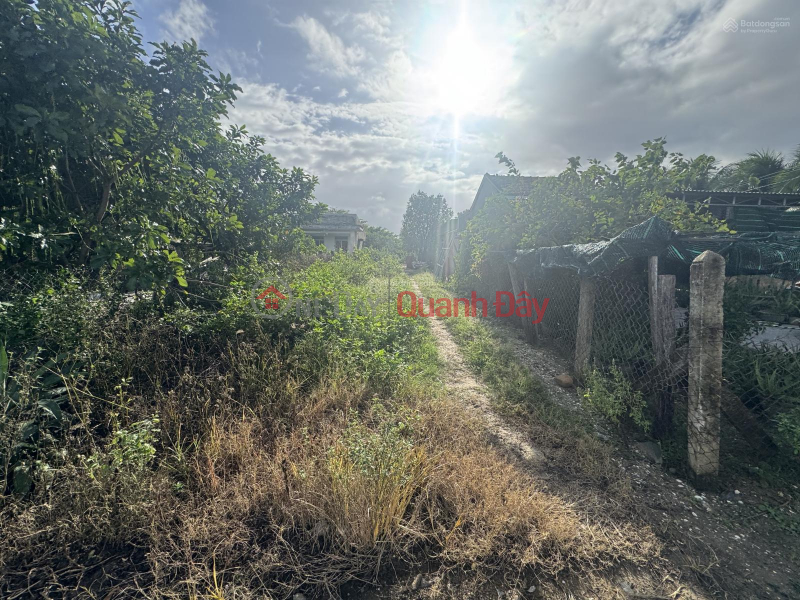 Property Search Vietnam | OneDay | Residential Sales Listings OWNER SELLING 231.2M2 LAND WITH TITLE DEED, FRONTAGE ACCESSIBLE BY CAR IN NINH ICH-NINH AN