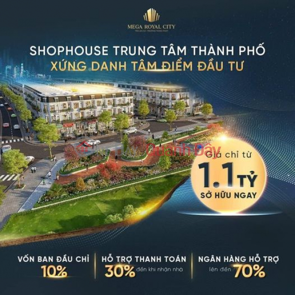 Selling house to pay debt, Shophuose Right in the city center Sales Listings