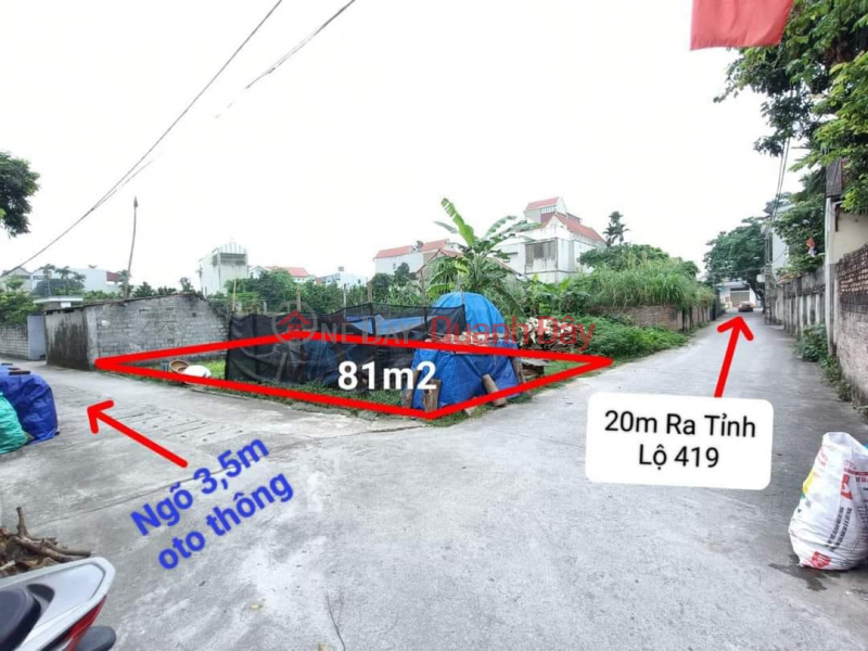 Property Search Vietnam | OneDay | Residential | Sales Listings Land for sale 81m2, slightly 2.x billion, adjacent to TL 419, Dai Yen, TK6, corner of the road with a hammock around the land.
