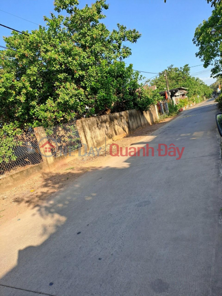 Property Search Vietnam | OneDay | Residential | Sales Listings OWNER FOR SALE 2 Adjacent Land Lots Beautiful Location In Binh An Commune, Long Thanh, Dong Nai