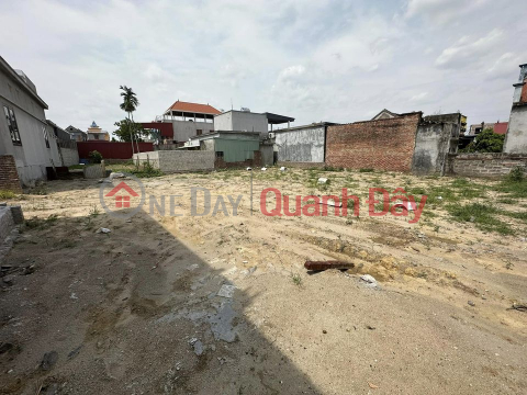 The owner needs to sell quickly Land plot in Hoang Lau - An Duong - Hai Phong. _0