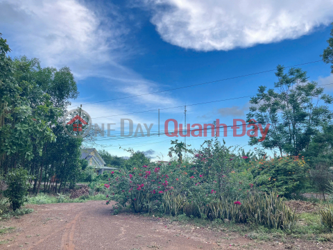 Owner selling 20,000m2 of land in Bau Lam Commune, Xuyen Moc District, Ba Ria Vung Tau Province. _0