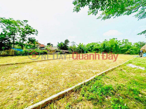 Land for sale on the edge of Da Nang, close to DT 605, support price is only 3xx to own _0