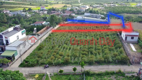 Land for sale in Ninh Gia - Duc Trong - Lam Dong. 1840m2, selling price 3.8 billion now reduced to 3.3 billion _0