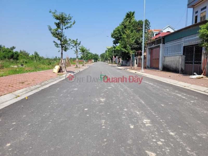 Land for sale at auction X9 Can Khe Nguyen Khe Dong Anh street 40m price 3x Sales Listings