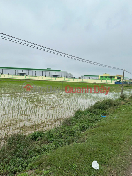  | Làm ơn chọn | Nhà ở, Niêm yết bán | đ 2,65 tỷ