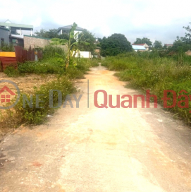 Owner needs to sell 303m2 of beautiful land in Lap Tri, Kim Anh - Potential location - Area with strong development potential. _0