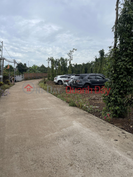 Property Search Vietnam | OneDay | Residential, Sales Listings LAND FOR SALE AT EAST GATE OF AIRPORT CORNER 2 MT. BAU CAN COMMUNE. LONG THANH . DONG NAI 0938974428