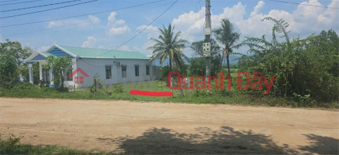 PROFITABLE INVESTMENT - OWNER SELLING 2 ADJACENT LAND PLOTS IN BON LA BAC, SONG HINH COMMUNE, DAK LAK PROVINCE. _0