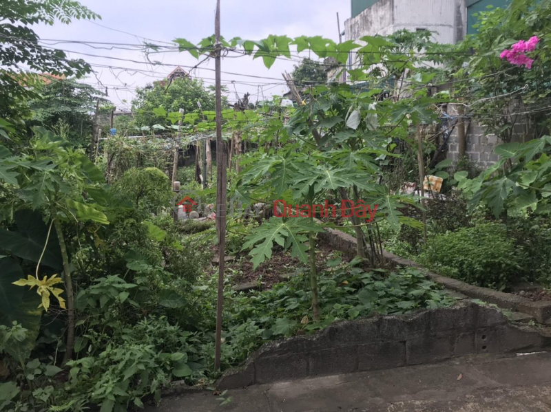 BEAUTIFUL LAND - GOOD PRICE - Full Residential Lot For Sale Quickly In Phu Ly, Ha Nam Sales Listings