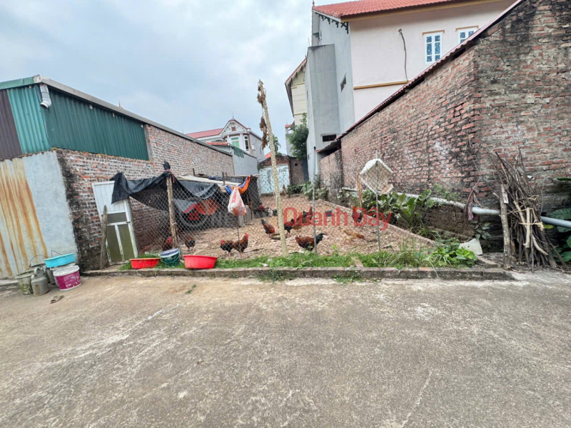 Property Search Vietnam | OneDay | Nhà ở, Niêm yết bán | Bán nhanh 107m đất Hoàng Kim, Mê Linh. Ngay chân cầu Hồng Hà, đường Vành Đai 4