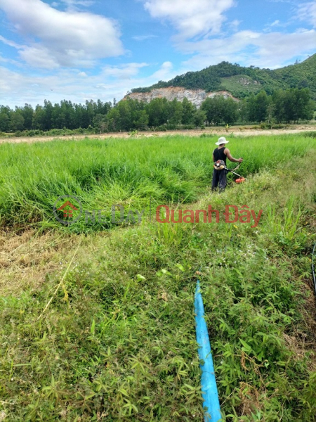 BEAUTIFUL LAND - EXTREMELY GOOD PRICE Prime Location In Lam Son Commune, Ninh Son, Ninh Thuan | Vietnam Sales | đ 6.5 Billion